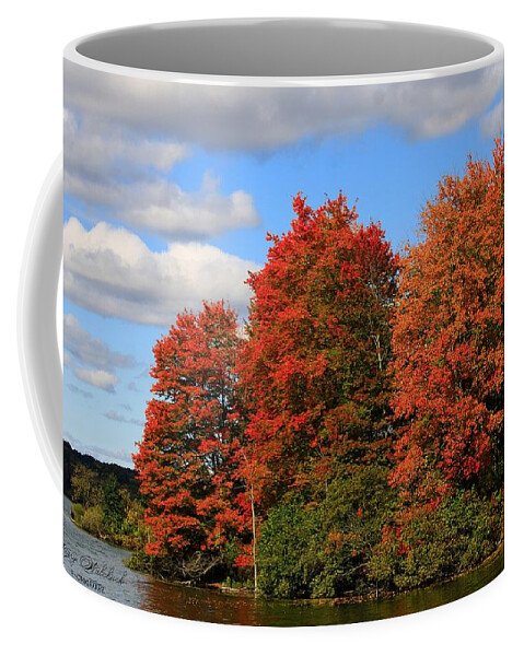 Fall Colors Coffee Mug featuring the photograph Autumn Beauty by Mary Walchuck