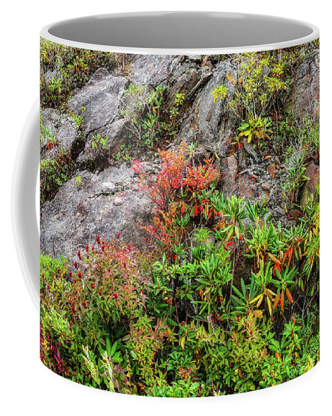 Autumn Coffee Mug featuring the photograph Autumn Cliff Dwellers Panorama by Dan Carmichael