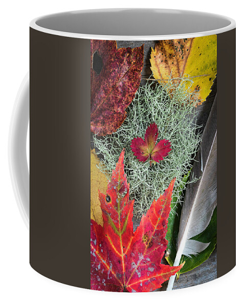 Feather Coffee Mug featuring the photograph Autumn Collage by Norman Reid