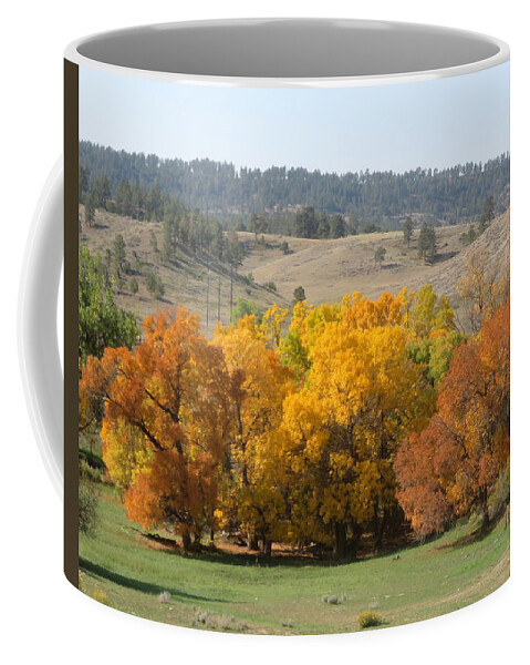 Autumn Coffee Mug featuring the photograph Autumn Color by Katie Keenan