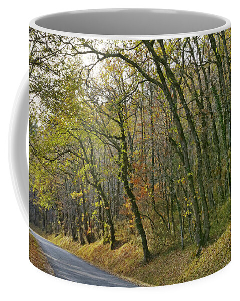 Landscape Coffee Mug featuring the photograph Autumn colors by Karine GADRE