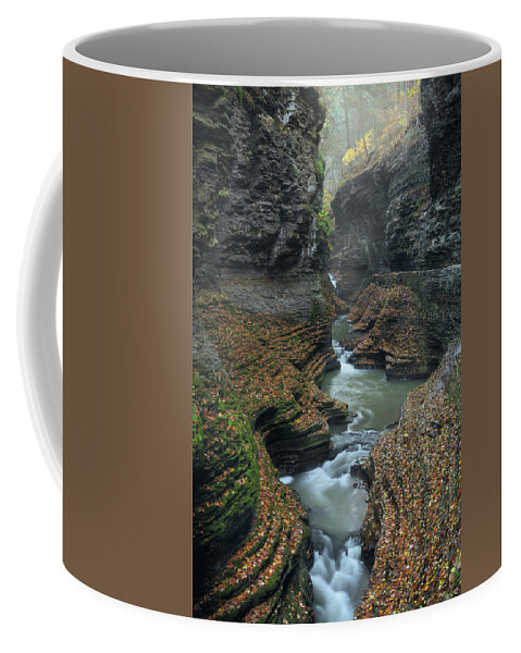 Watkins Glen Coffee Mug featuring the photograph Autumn Day in Watkins Glen by Kristen Wilkinson