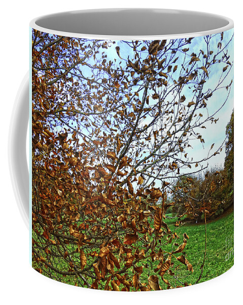 Autumn Decoration Coffee Mug featuring the photograph Autumn Decoration by Jasna Dragun