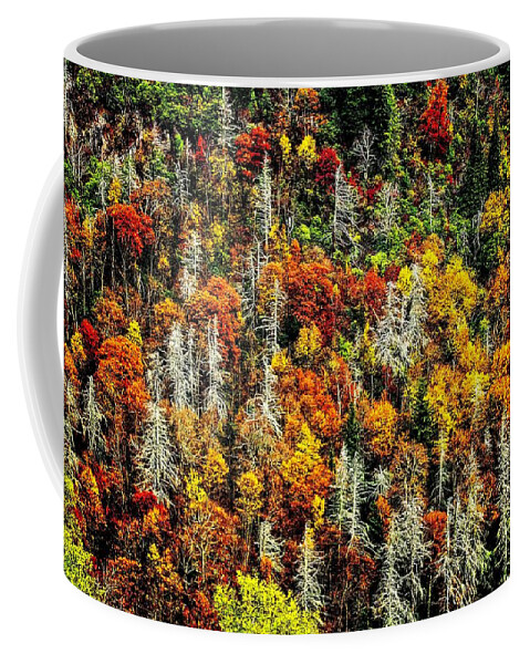 Autumn Coffee Mug featuring the photograph Autumn Diversity by Allen Nice-Webb
