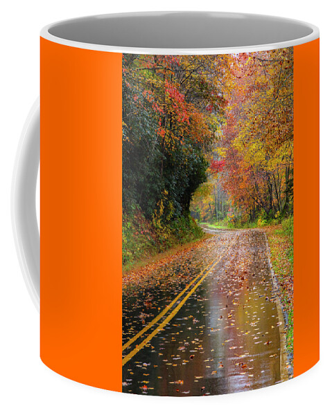 Carolina Coffee Mug featuring the photograph Autumn Drive II by Debra and Dave Vanderlaan