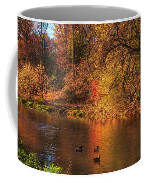 Lehigh Parkway Coffee Mug featuring the photograph Autumn Ducks on the Little Lehigh Creek by Jason Fink