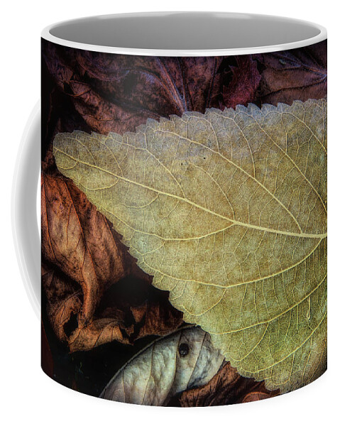 Fall Coffee Mug featuring the photograph Autumn Enchantment by Steve Sullivan