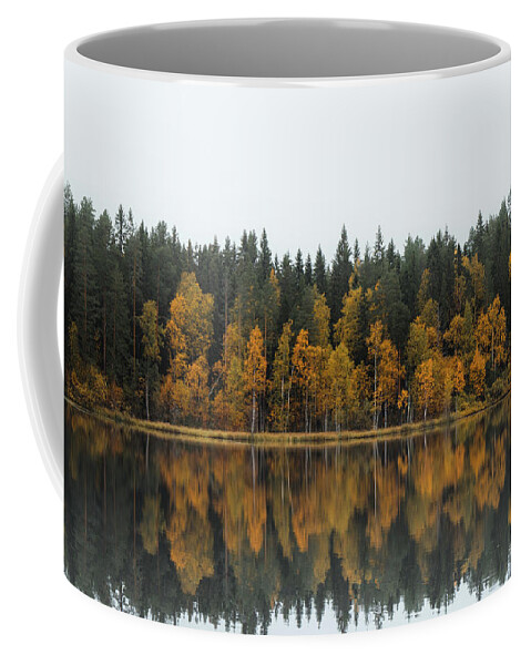 Dramatic Coffee Mug featuring the photograph Autumn fairy tale in Kainuu, Finland by Vaclav Sonnek