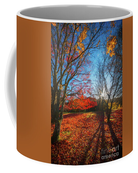 Acer Coffee Mug featuring the photograph Autumn Forest Shadows by Adrian Evans
