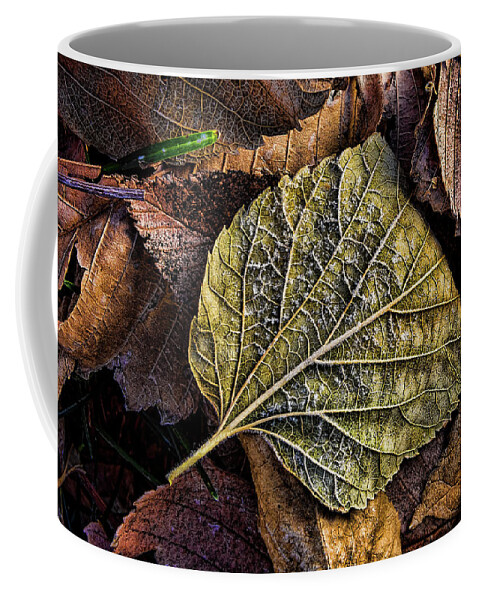 Frost Coffee Mug featuring the photograph Autumn Frost by Steve Sullivan