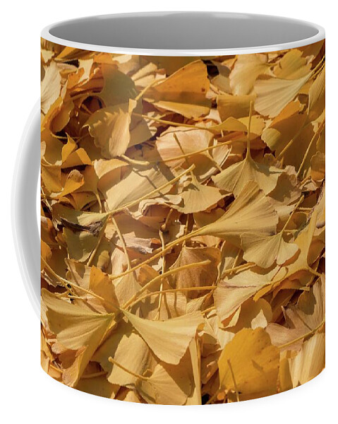 Ginkgo Coffee Mug featuring the photograph Autumn Ginkgo Leaves by Liza Eckardt