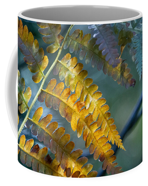 Simplicity Coffee Mug featuring the photograph Autumn Glow by Linda Bonaccorsi