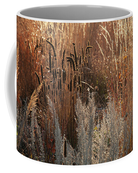 Jenny Rainbow Fine Art Photography Coffee Mug featuring the photograph Autumn Grass Mixed Border 10 by Jenny Rainbow