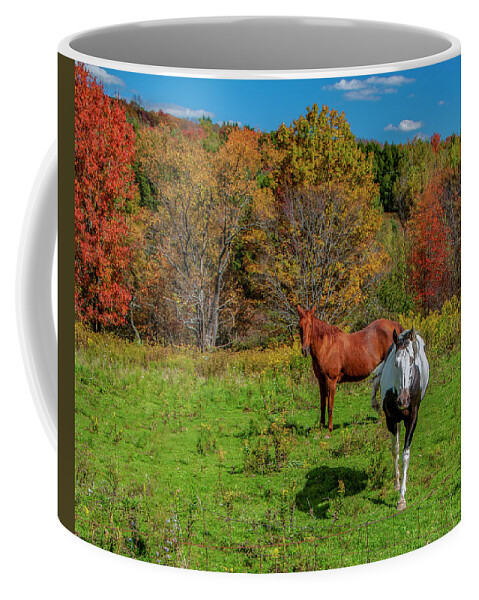 Horses Coffee Mug featuring the photograph Autumn Horses by Cathy Kovarik