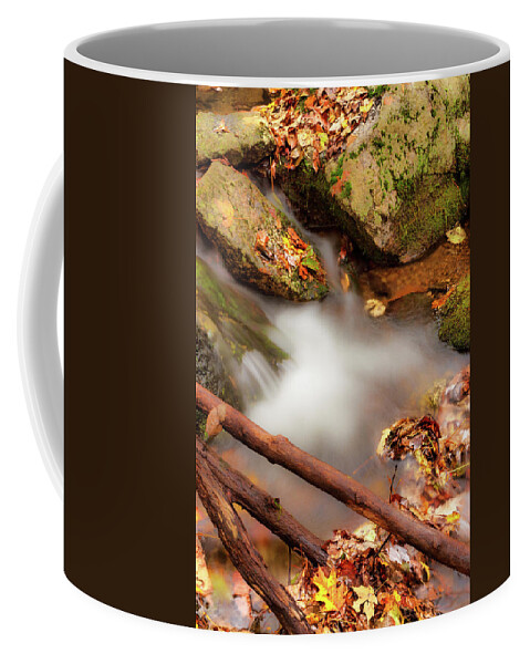 Fall Coffee Mug featuring the photograph Autumn Icy Waters fx by Dan Carmichael
