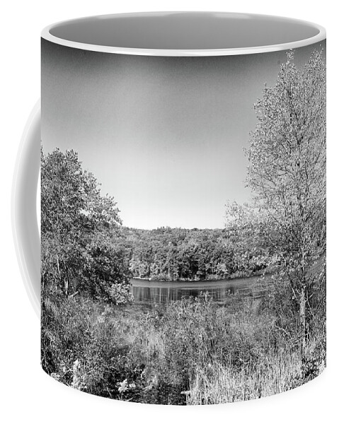 Autmn Coffee Mug featuring the photograph Autumn in Harriman State Park #3 by Alan Goldberg