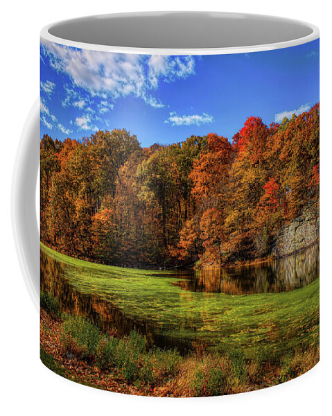 Nature Coffee Mug featuring the pastel Autumn in New York by Ron Grafe