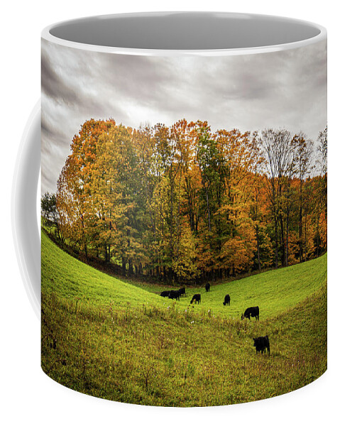 Fall Coffee Mug featuring the photograph Autumn in Vermont in the Woodstock Countryside 4 by Ron Long Ltd Photography
