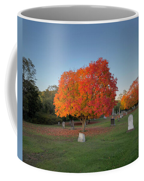 Autumn Coffee Mug featuring the photograph Autumn Landscape Color by David Gordon