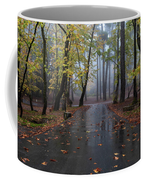 Fog Coffee Mug featuring the photograph Autumn landscape maple trees and autumn leaves on the ground after rain. by Michalakis Ppalis