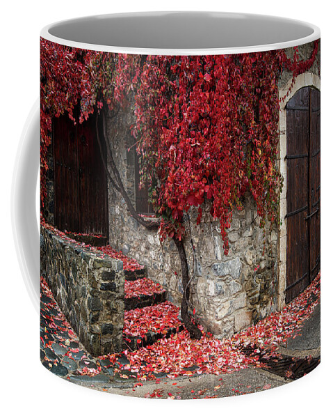 Autumn Coffee Mug featuring the photograph Autumn landscape with red plants on a hous wall by Michalakis Ppalis