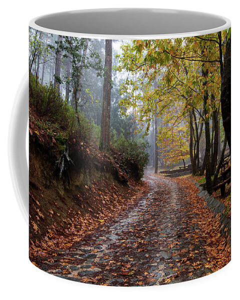 Autumn Coffee Mug featuring the photograph Autumn landscape with trees and Autumn leaves on the ground after rain by Michalakis Ppalis