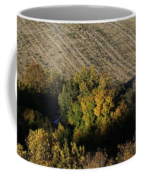 Art Coffee Mug featuring the photograph Autumn landscapes 1 by Jean Bernard Roussilhe