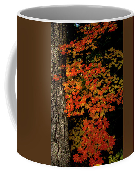 Vertical Coffee Mug featuring the photograph Autumn Leaves by Doug Scrima