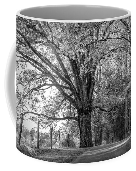 Cades Coffee Mug featuring the photograph Autumn Loop Black and White by Debra and Dave Vanderlaan