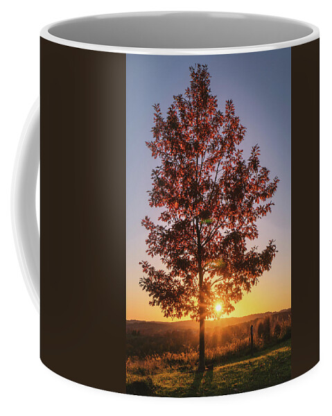 Autumn Coffee Mug featuring the photograph Autumn Maple Tree Sunset by Jason Fink
