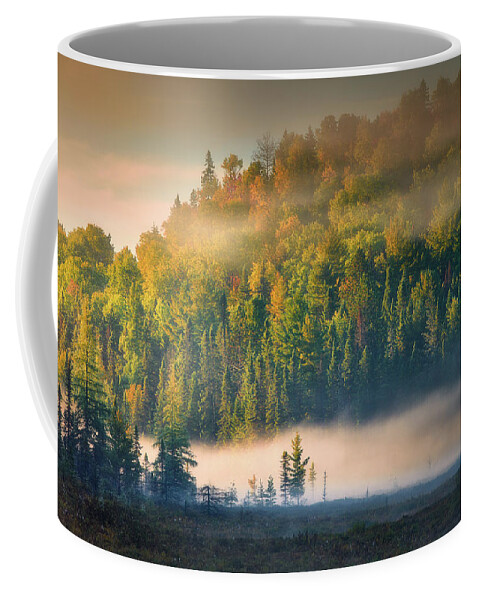 Algonquin Coffee Mug featuring the photograph Autumn morning at Algonquin by Henry w Liu