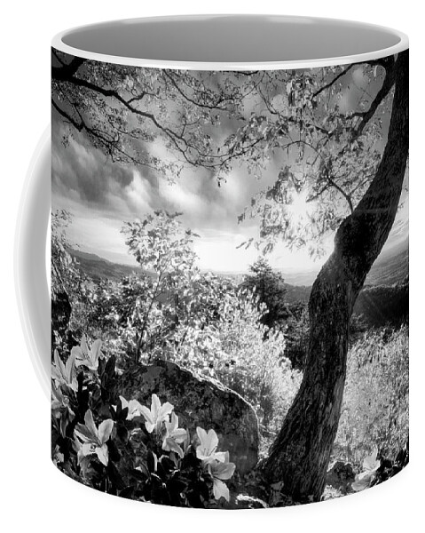 Benton Coffee Mug featuring the photograph Autumn Mountain Black and White Blue Ridge Smokies by Debra and Dave Vanderlaan