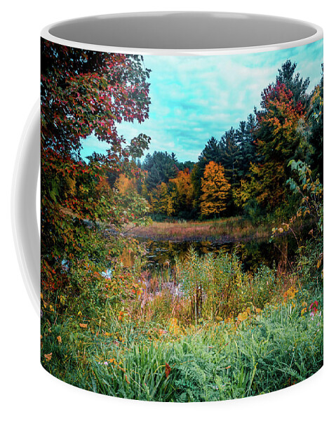 Colors Of Autumn Coffee Mug featuring the photograph Autumn Nature landscape in New England by Lilia S