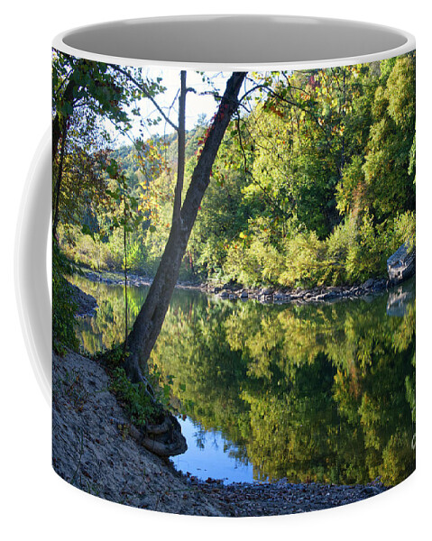 Obed Wild And Scenic National Park Coffee Mug featuring the photograph Autumn Reflections 9 by Phil Perkins