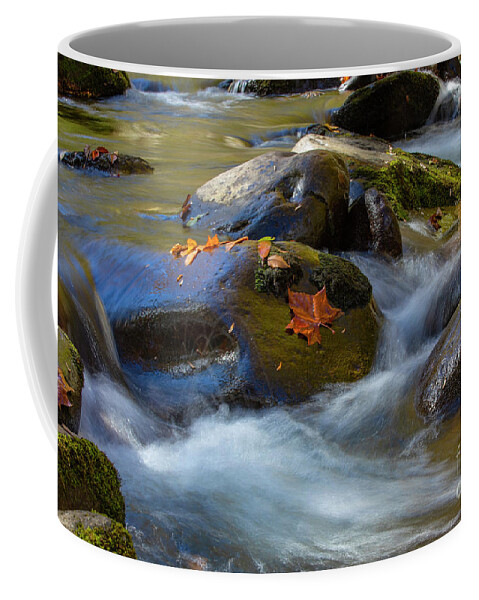 Landscapes Coffee Mug featuring the photograph Autumn River in the Smoky Mountains by Theresa D Williams