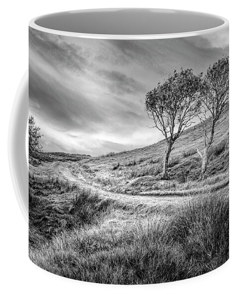 Clouds Coffee Mug featuring the photograph Autumn Rowan Trees Black and White by Debra and Dave Vanderlaan