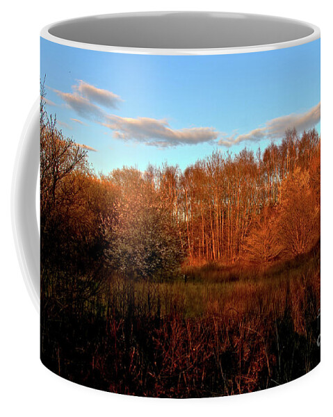 Nature Coffee Mug featuring the photograph Autumn splendour by Stephen Melia