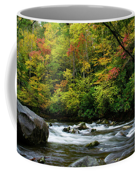 Autumn Coffee Mug featuring the photograph Autumn Stream 2 by Larry Bohlin