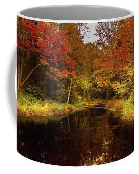 Autumn Stream Coffee Mug featuring the photograph Autumn Stream by David Patterson