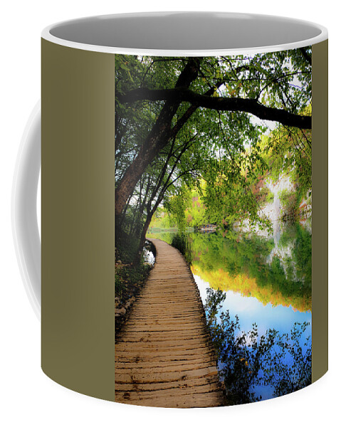 Trail Coffee Mug featuring the photograph Autumn Stroll by Andrea Whitaker