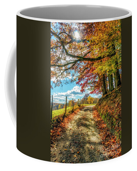 Autumn Coffee Mug featuring the photograph Autumn Sunshine Country Road by Thomas R Fletcher