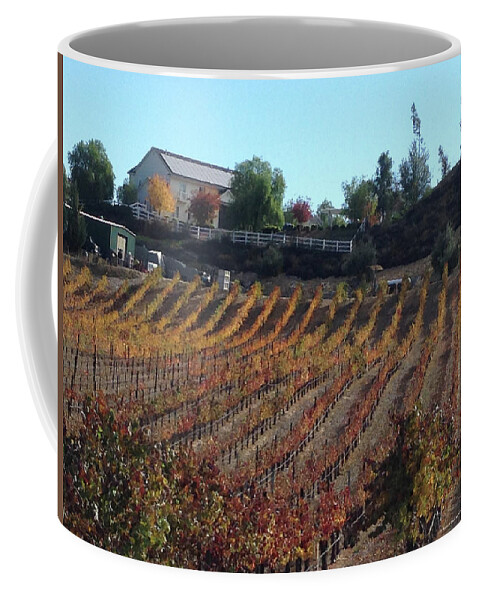 Autumn Coffee Mug featuring the photograph Autumn Vines Temecula by Roxy Rich