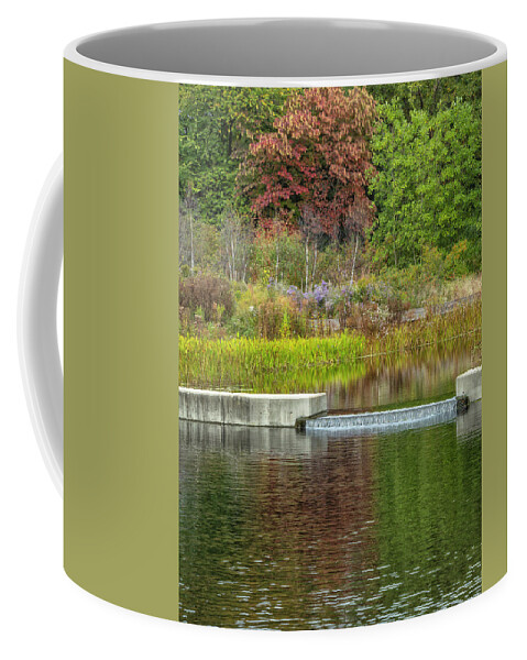 Bronx Botanical Gardens Coffee Mug featuring the photograph Autumn Water Reflections by Cate Franklyn