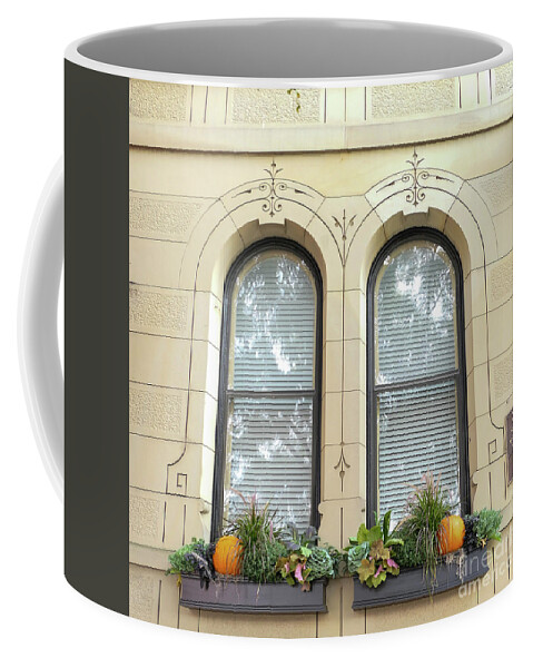 Windows Coffee Mug featuring the photograph Autumn Window Boxes by Bentley Davis