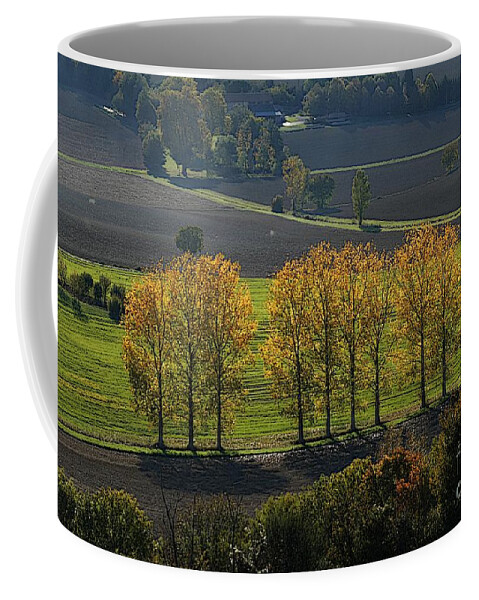 Art Coffee Mug featuring the photograph Autumnal Leaves and Trees 3 by Jean Bernard Roussilhe