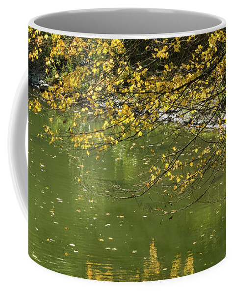 Autumnal Riverbank Coffee Mug featuring the photograph Autumnal Riverbank - Golden Maple Tree Leaning Overwater by Georgia Mizuleva