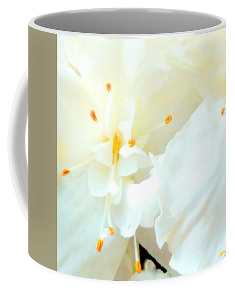 White Azalea Coffee Mug featuring the photograph Azalea - Deep In My Heart by VIVA Anderson