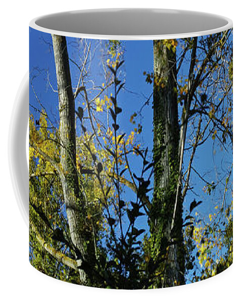 Landscape Coffee Mug featuring the photograph Azure blue by Karine GADRE