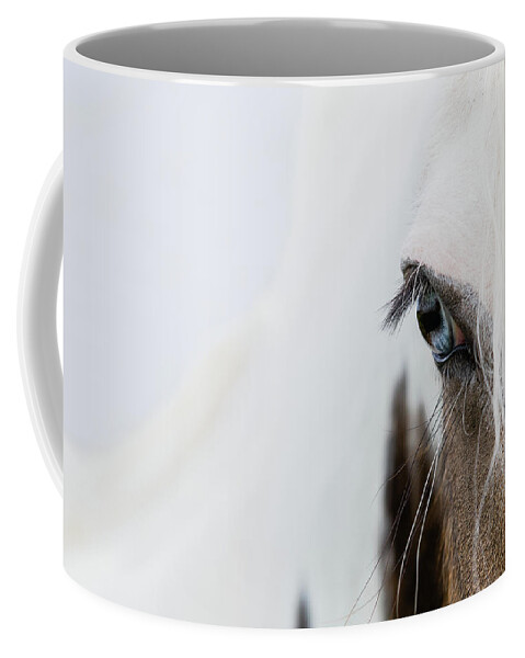 Horse Coffee Mug featuring the photograph Azure - Horse Art by Lisa Saint