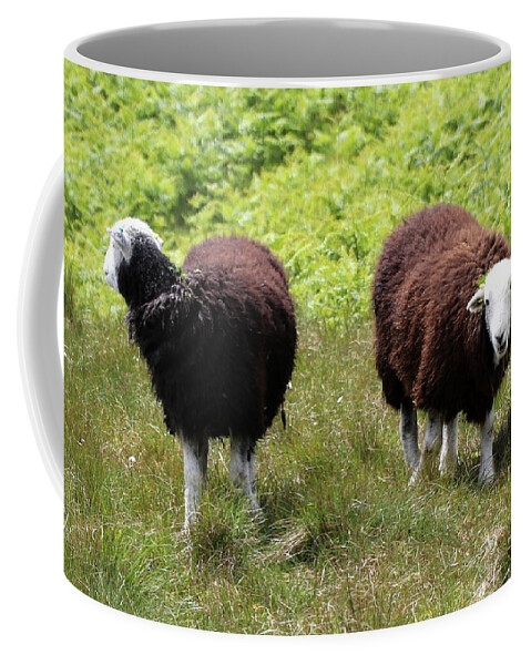 Sheep Coffee Mug featuring the photograph Baa by Lukasz Ryszka